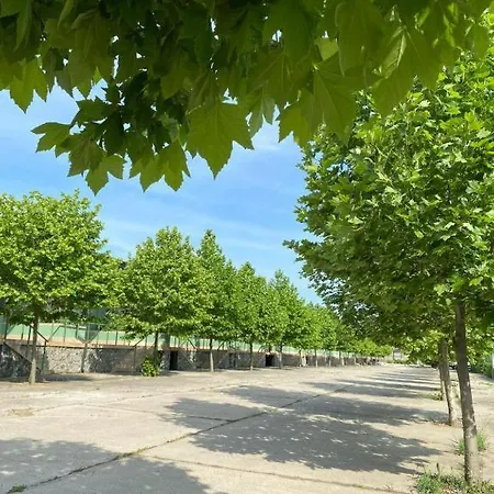 Hotel Bc Aprilia - Survivor Camp - Festival